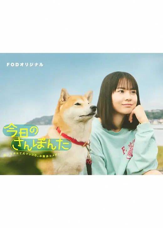 海报