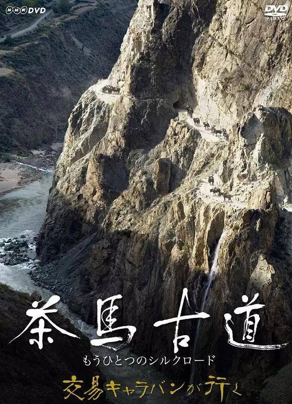 海报
