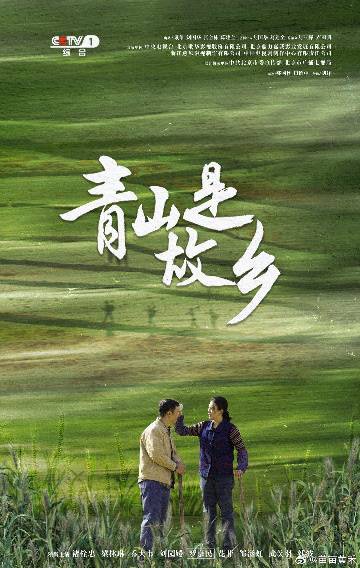 电视剧《青山是故乡》(2025)宣传海报,呈现董大林(褚栓忠饰)伫立青山脚下的坚毅身影,展现北方农村绿色创业与家庭伦理交织的现实主义温情氛围。