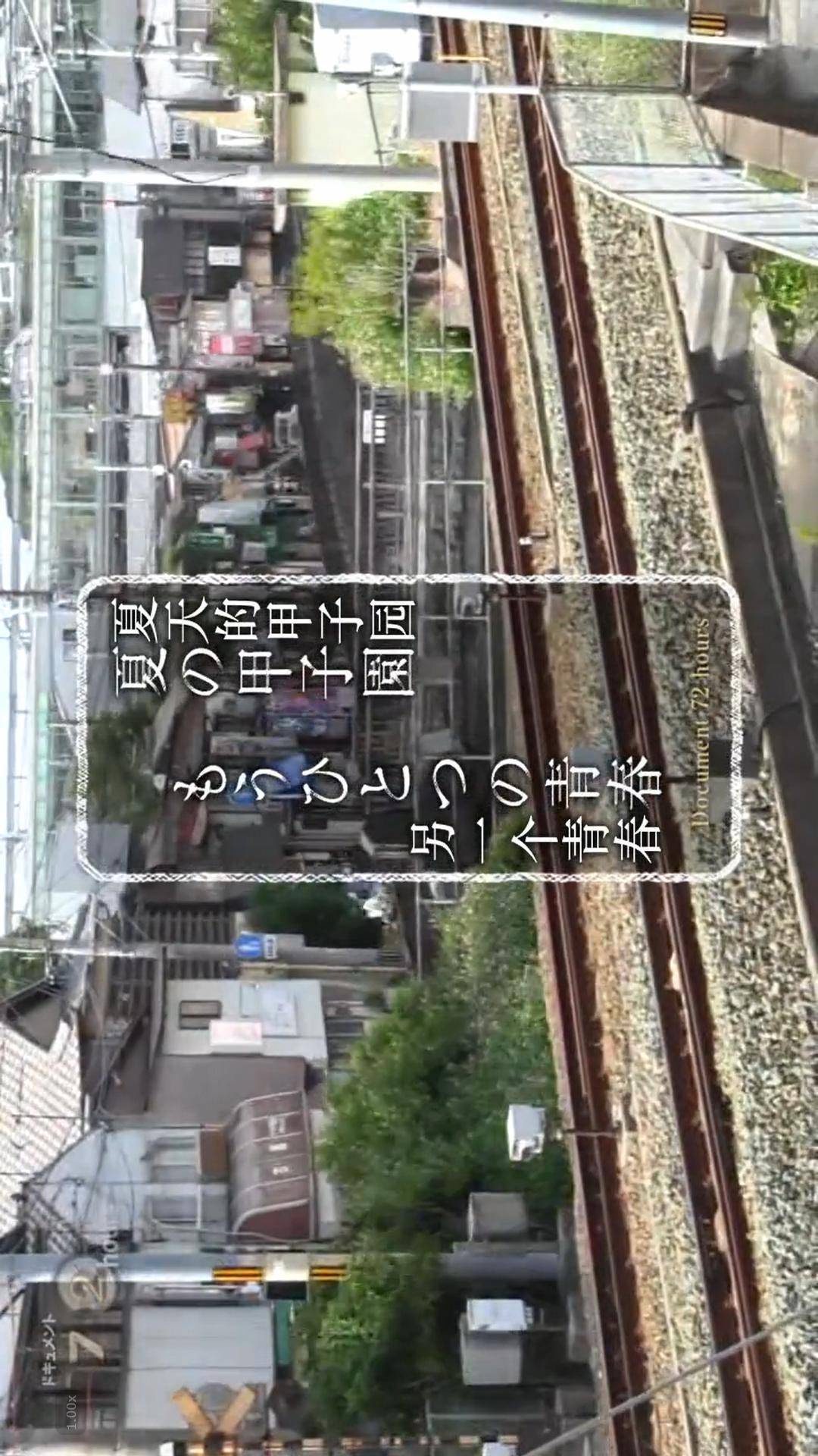 海报